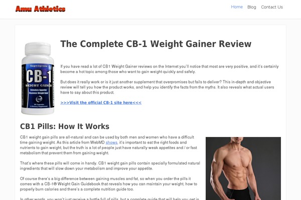 Focusblog theme site design template sample