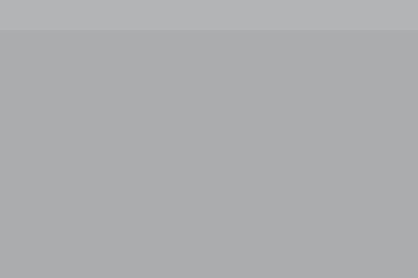 Site using Wolf-twitter plugin