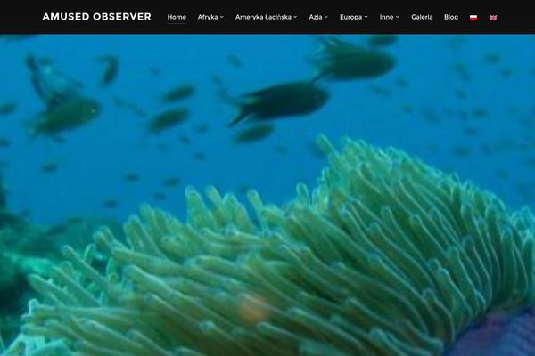 inspiro-child theme websites examples