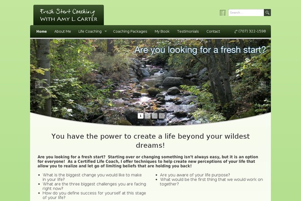 wellness-child theme websites examples