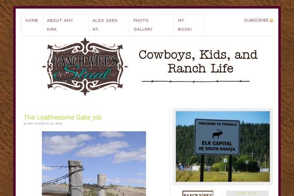 amykirk.com site used Thesis-15b-r4