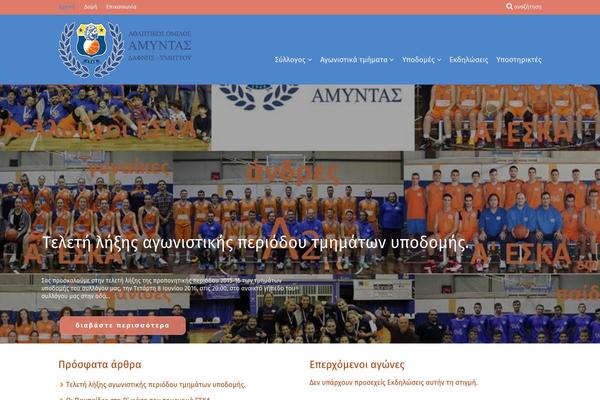 Catch Everest theme site design template sample