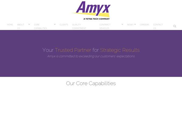 amyx.com site used Foundry