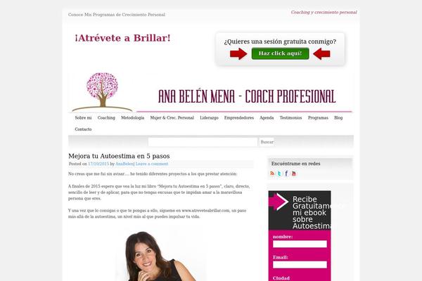 Snow Summit theme site design template sample