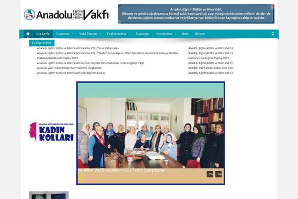 Site using Wp-blog-post-layouts plugin