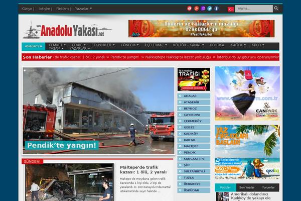 Soledad theme site design template sample