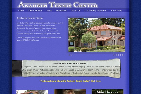 PureVISION theme site design template sample