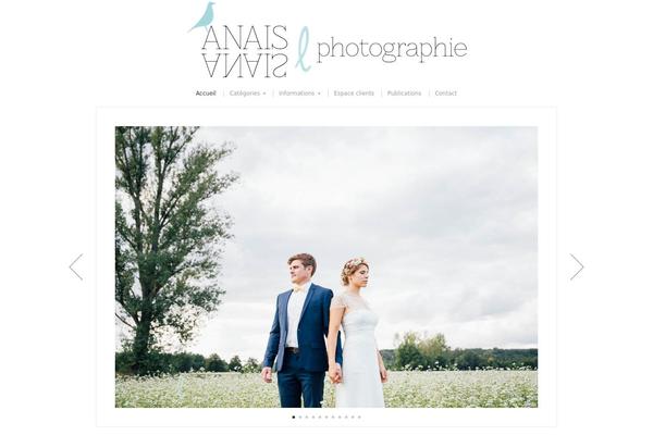 Organic_photographer theme site design template sample