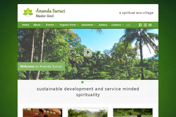 Risen theme site design template sample