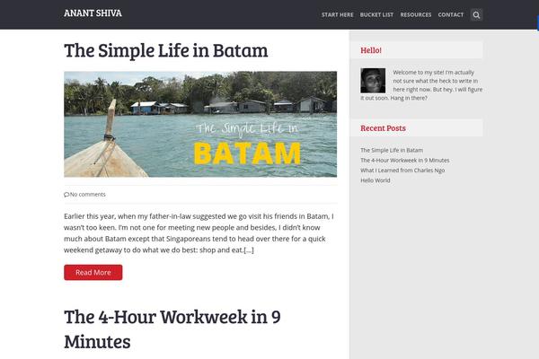 SteadyIncome theme site design template sample