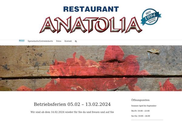 Avada theme site design template sample