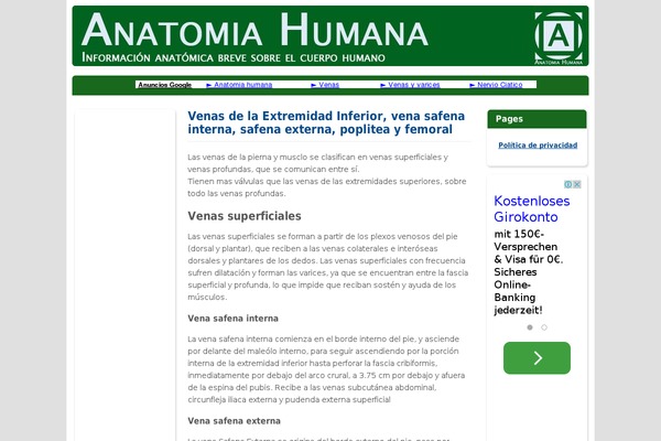 Seomeganichos theme site design template sample