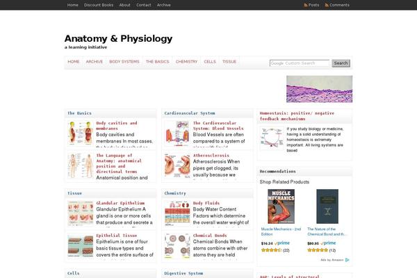 Site using Related Posts by Zemanta plugin