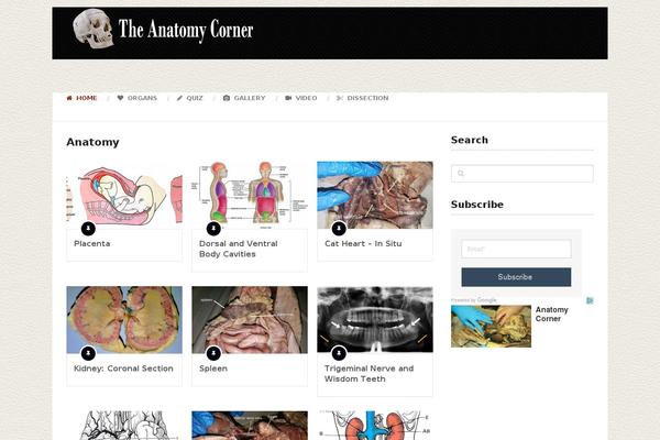 Mts_splash theme site design template sample