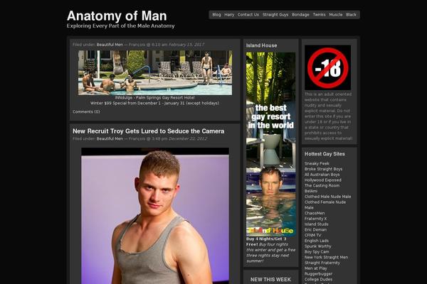 PopularFX theme site design template sample