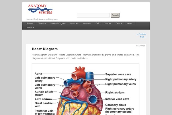 Catch Box theme site design template sample