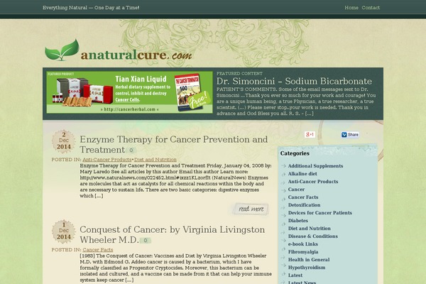 Intaglio theme site design template sample