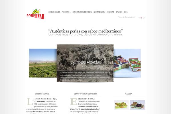 Modest theme site design template sample