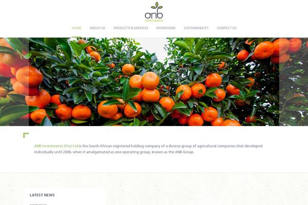 anbinvestments.co.za site used Anb