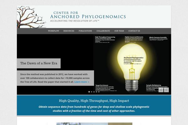 Catch Everest theme site design template sample