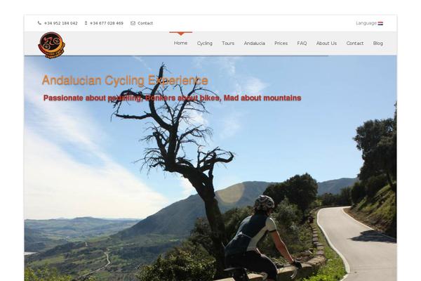 Site using Multisite Language Switcher plugin
