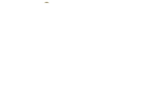 Site using Firebox plugin