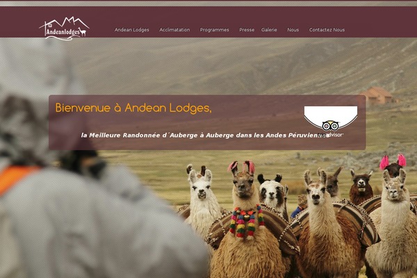 Storm theme site design template sample