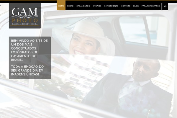 Site using WP Meta and date remover plugin