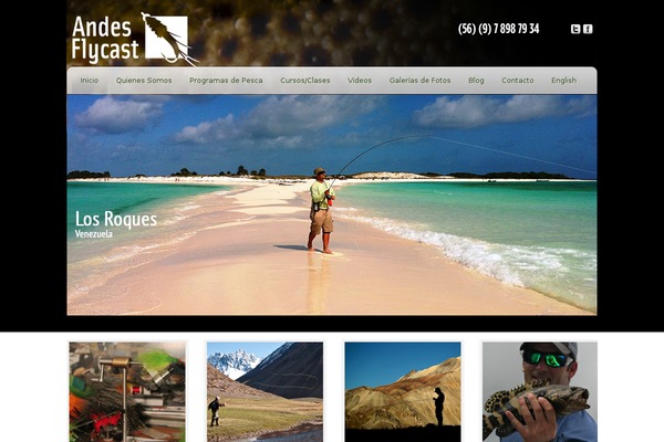 Startup theme site design template sample