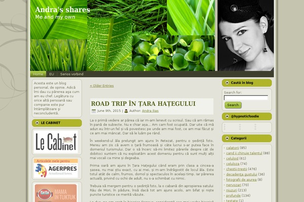 Site using Meks ThemeForest Smart Widget plugin