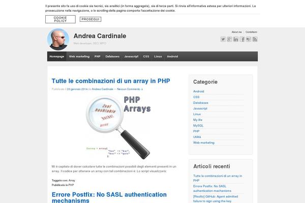Site using Viper's Video Quicktags plugin