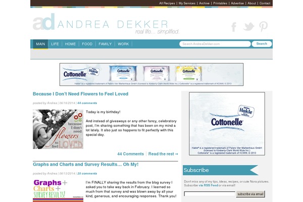 WordPress website example screenshot