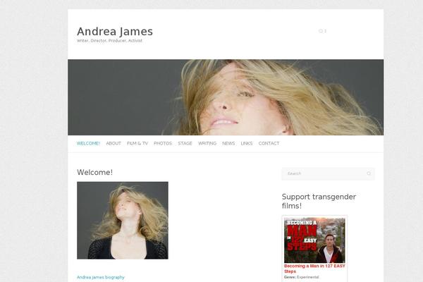 Site using Minimalist Instagram Widget plugin