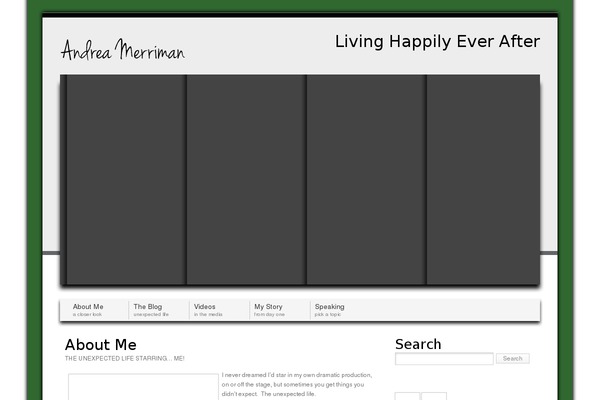 andreamerriman.com site used Layerstheme