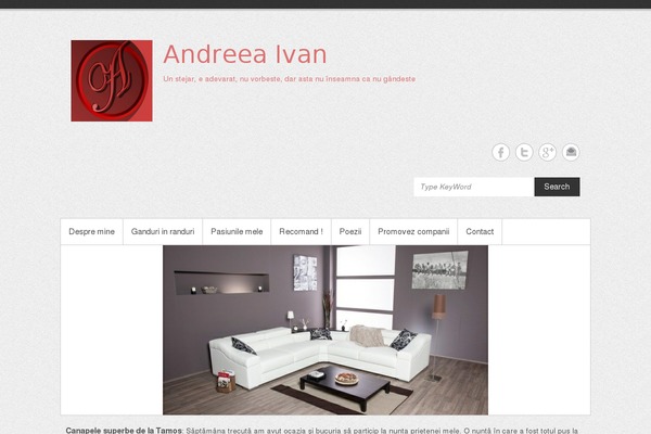 Simple Catch theme site design template sample