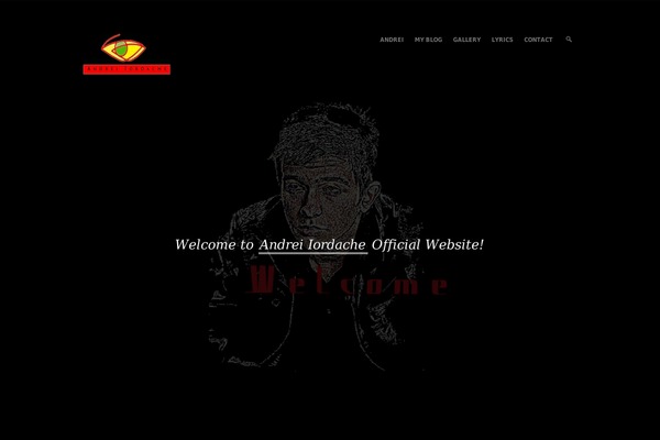 Producer theme site design template sample