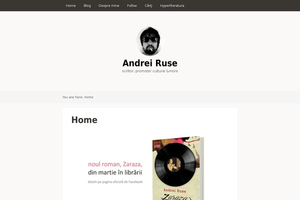 Site using Simple Download Monitor plugin