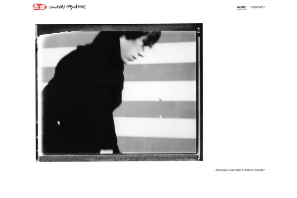andrewpaynter.com site used Eames
