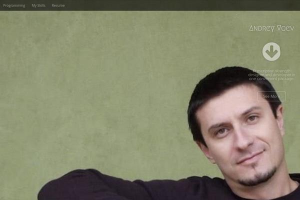 Site using Category Posts Widget plugin