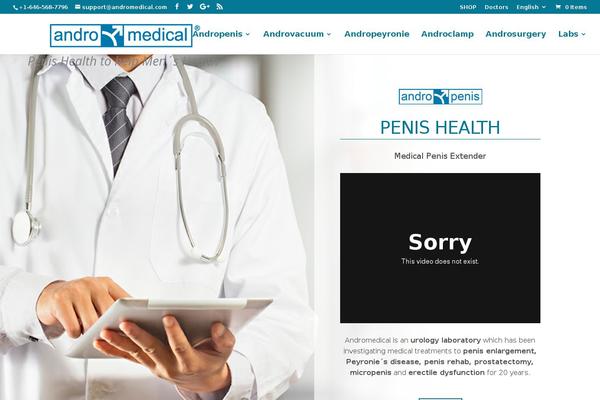 Divi Child theme site design template sample