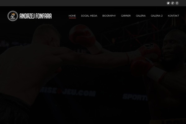 The7 theme site design template sample