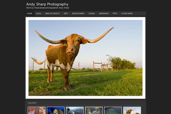Landscape theme site design template sample