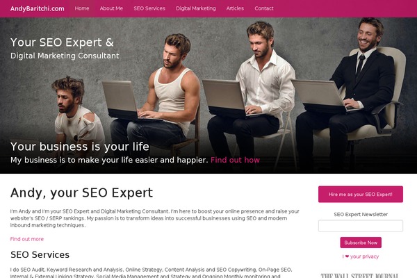 andybaritchi.com site used Seo-expert