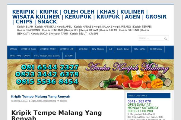 Smartline Lite theme site design template sample