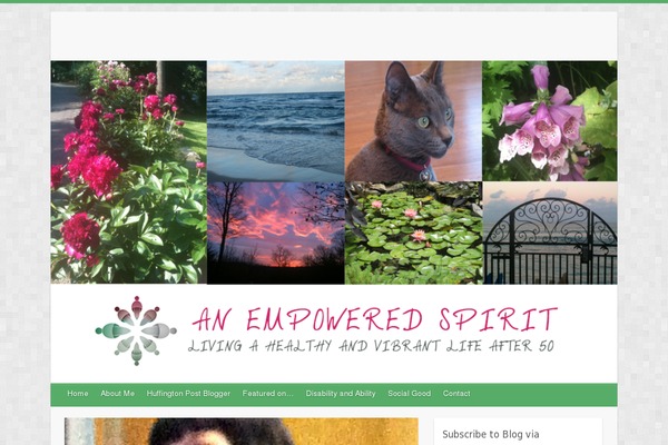 anempoweredspirit.com site used Grandblog