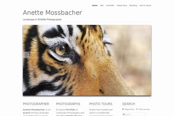 Site using Iconic-woo-quickview plugin