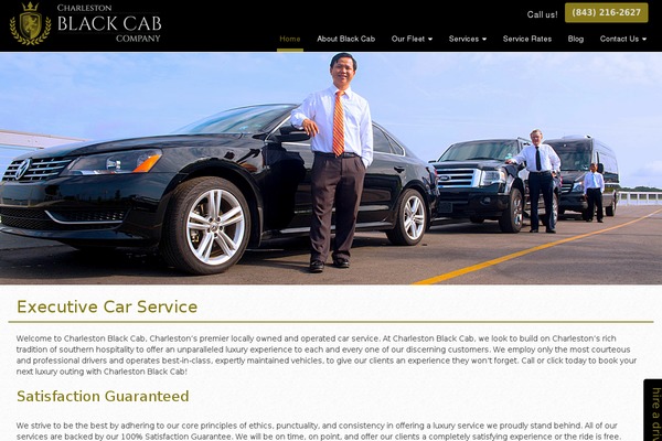 Options theme site design template sample