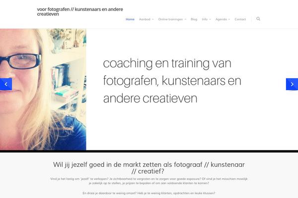 Salient theme site design template sample