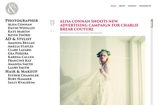 Salient theme site design template sample