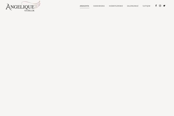 Bridge theme site design template sample